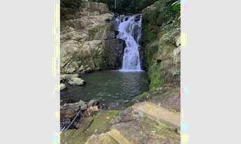 Imagem 5: Aluguel de Sítio com rio e cachoeira em Benedito Novo - mínimo 3 diárias