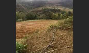 Imagem 5: Vendo terreno beira da br 381 urgente