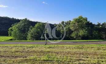 Imagem 2: Terreno a venda, Jardins Veneza, FGR, leve aclive com linda vista para mata atlântica, Int