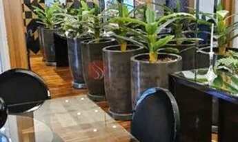 Imagem 7: Apartamento de alto padrão no Ipiranga