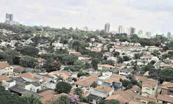 Imagem 4: COBERTURA - PERDIZES - SP