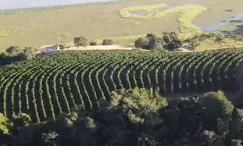 Imagem 7: Fazenda / Sítios / Chácaras com 5 dormitórios à venda em Varginha