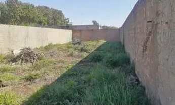 Imagem 2: Terreno Padrão em Ribeirão Preto