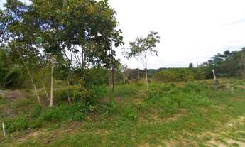 Imagem 6: Lote/Terrenos 15x40, na Am 010, km.35, ideal para construir sua chácara, com igarapé na ár