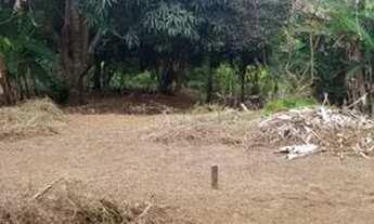 Imagem 5: Sitio Chácara com venda por R$87.000