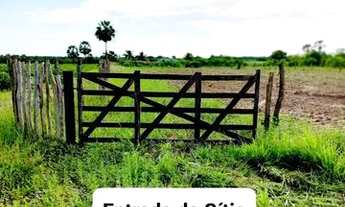 Imagem: Granja/ sítio/chácara/fazenda com 12 há