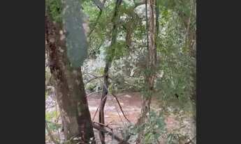 Imagem 5: Lotes em Jaboticatubas