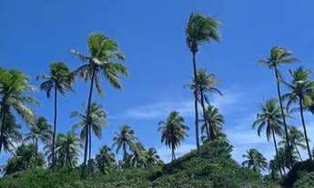 Imagem: Alugo casa por temporada