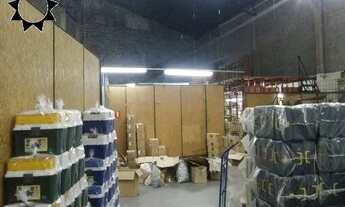 Imagem 2: GALPÃO COM RENDA para venda CHÁCARA MARCO - BARUERI