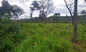 Imagem 3: Fazenda Sitio Roça Chacara Alqueire Venda Tocantins Setor Região Cidade