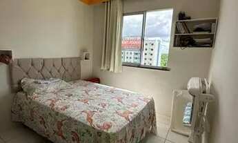 Imagem 6: Qualivida 69436 Apartamento com 2 dormitórios