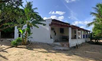 Imagem 5: Granja em Macaíba/RN