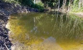 Imagem 4: Oportunidade!!! Terreno para chácara em Tijucas do Sul