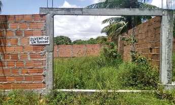Imagem 3: Terreno em barra do jacuipe