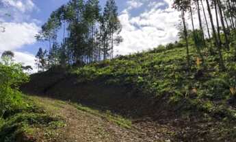 Imagem 4: Sítio/Chácara 20.000m²