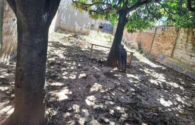 Imagem 3: Lote com barracão venda ou troca