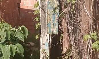 Imagem 3: Vendo um barraco