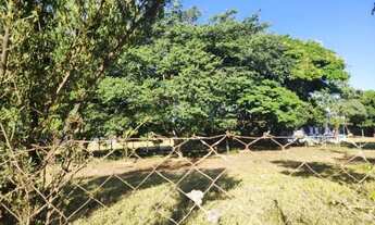 Imagem 2: Imóvel Industrial em Rio Claro - SP