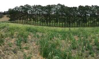 Imagem 7: Ag7- compre seu lote e pague parcelado / aceito seu veiculo sob analise