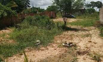 Imagem 3: Terreno Abreu e Lima