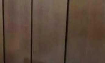 Imagem 3: Oportunidade porteira fechada