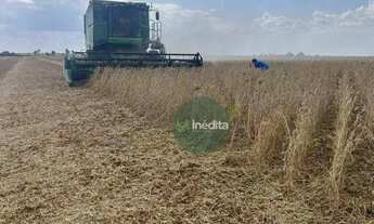 Imagem 5: Fazenda à venda, m² por R$ 105.000.000,00 - Zona Rural - Bonfim/RR