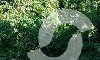 Imagem: TERRENO EM SÃO FRANCISCO