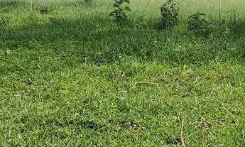 Imagem 7: Chácara próximo a Anápolis 03 alqueires