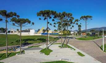 Imagem: TERRENO EM CAMPINA GRANDE DO SUL! 367m²