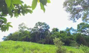 Imagem 2: Sítio a venda - 3,5 alqueires de tranquilidade e conforto