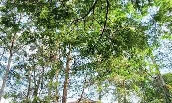 Imagem 2: Terreno à venda, 585 m² por R$ 850.000,00 - Collina Parque dos Príncipes - São Paulo/SP