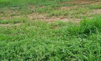 Imagem 5: Lote de 1000m² espetacular ,Direto com o dono no condominio Canto da Seriema Vip