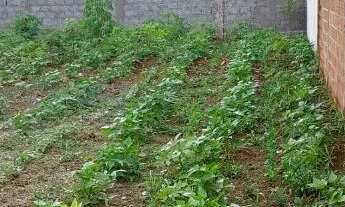 Imagem 4: VENDO EXCELENTE LOTE EM ANAPOLIS-GO TERRENO DE 200M²