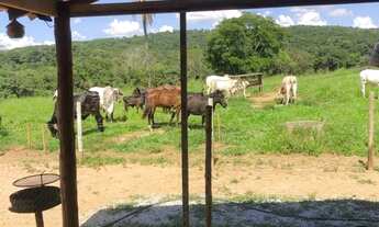 Imagem 3: Ótima chácara entre Itaberai e Goiaz