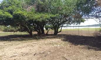 Imagem 3: Vendo terreno no pantanal Baía Siá Mariana