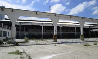 Imagem 4: BELéM - Galpão/Depósito/Armazém - Campina