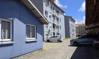 Imagem: APARTAMENTO PELOTAS RS