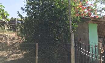 Imagem 2: Fazenda com 31 hectares em Rio Casca