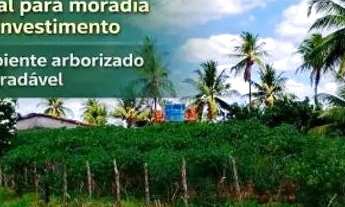 Imagem: Vende-se terreno no pov Brejo!