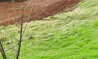 Imagem 1: Chácara de 21 mil metros por apenas 15 reais o metro