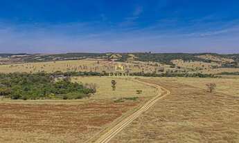 Imagem 6: FAZENDA PRODUTIVA|DUPLA APTIDÃO|AGRICULTURA|PECUÁRIA|LATICÍNIO