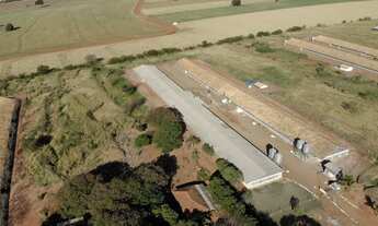 Imagem 4: Granja já pronta