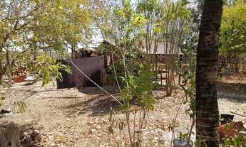 Imagem 6: VENDO!!! Uma área rural de 2 hectares na região do porto bandeira na cidade de C