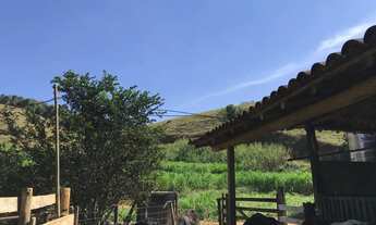 Imagem 7: Fazenda com 31 hectares em Rio Casca