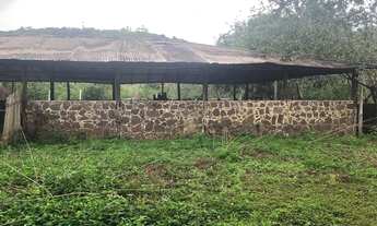 Imagem 5: /Tereno com 27 hectares na BR 171