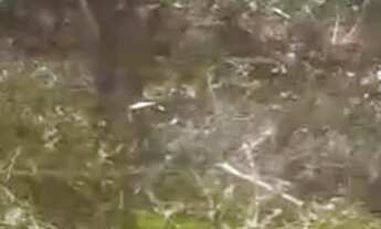 Imagem 4: Vendo Terreno,troco em carro ou moto