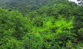 Imagem 6: FAZENDA 337 ALQUEIRES NIQUELANDIA - GO