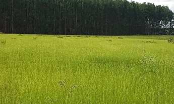 Imagem 5: Fazenda de 6.300 hectares em Bonfinopolis-MG