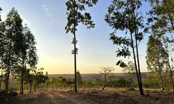 Imagem 5: Vendo Fazenda Próximo a Pirenópolis , 200metros do rio