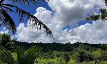 Imagem 7: Chácara em Vale Verde